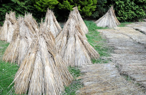 Thatching materials at Furzey Gardens Thatching materials at Furzey Gardens