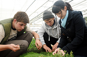 Hugo Fillery, Jack Stanford and Stephanie Jeffery Hugo Fillery, Jack Stanford and Stephanie Jeffery
