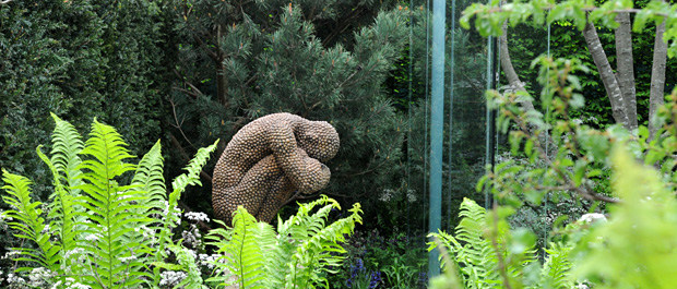 ChrisbeardshawP17banner