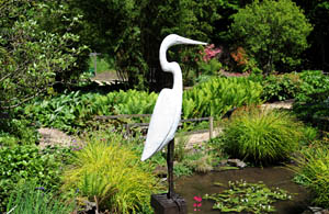 Eddie the Egret