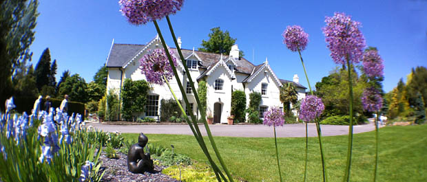 Marisa by Jenny Wynne-Jones