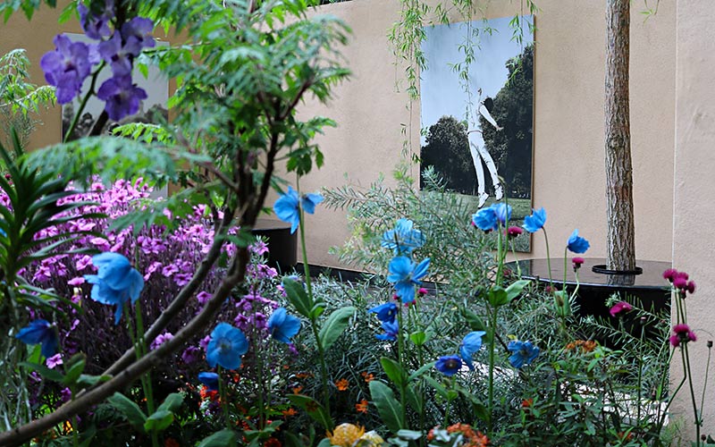 India: A Billion Dreams