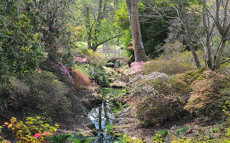 Japanese Bridge from Mrs Lionel’s Seat