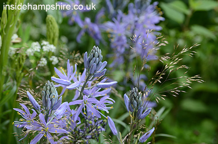 The Welcome to Yorkshire Garden