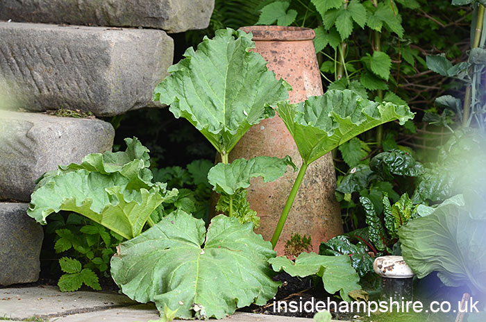 The Welcome to Yorkshire Garden