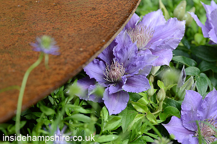 Miles Stone: The Kingston Maurward Garden