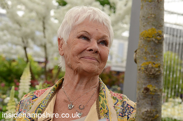 Judi Dench at the Hillier stand