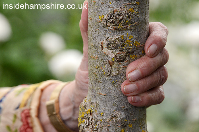 Judi Dench with an elm tree
