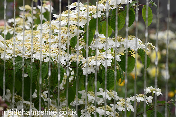 ‘The Stihl Hillier Garden’