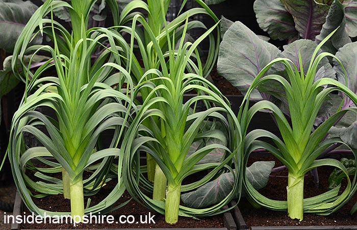 Ikea and Tom Dixon: Gardening Will Save the World