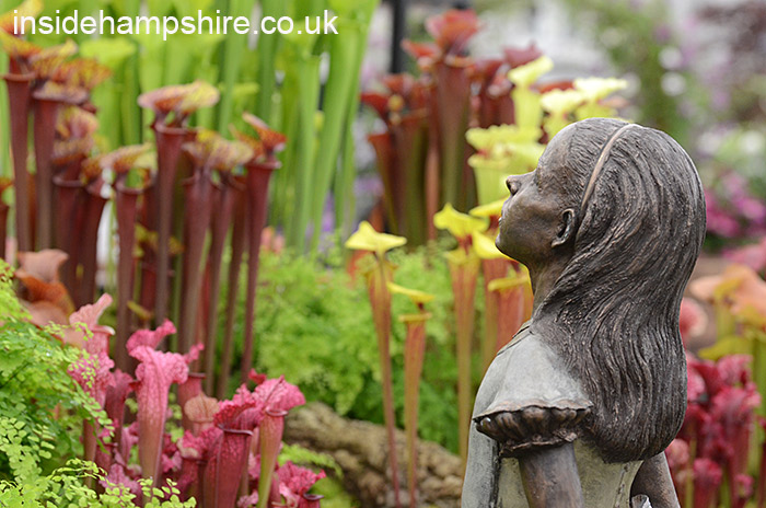 Hampshire Carnivorous Plants