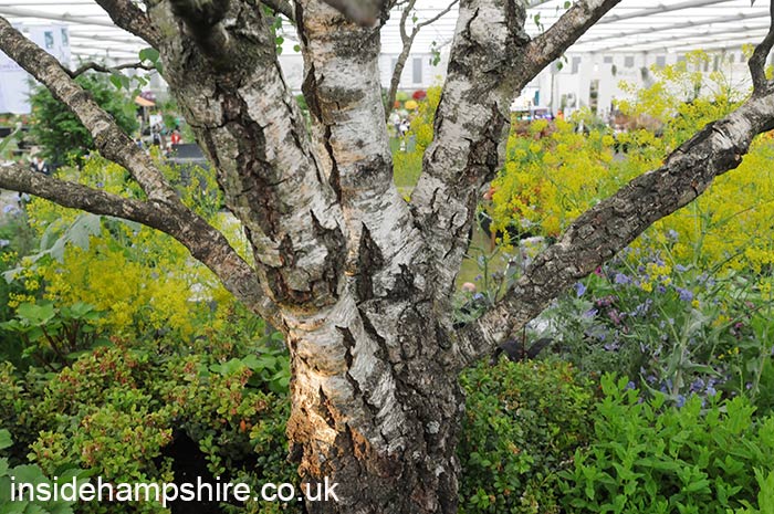 Ikea and Tom Dixon: Gardening Will Save the World