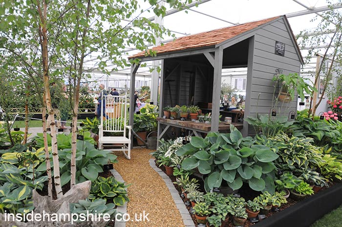 New Forest Hostas and Hemerocallis