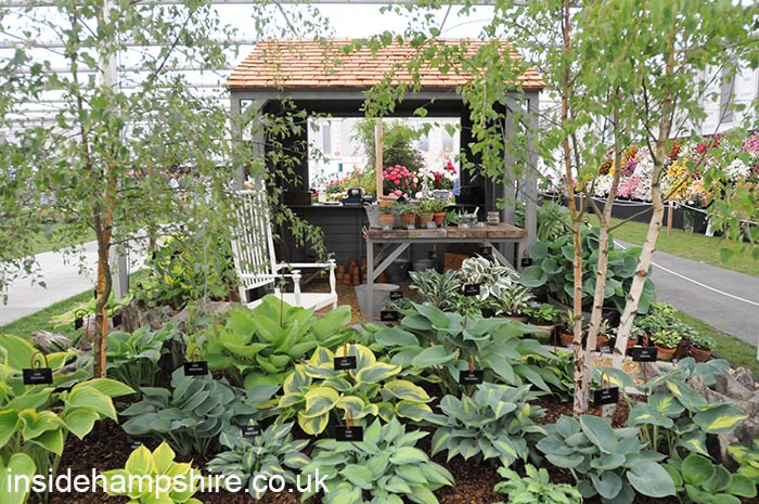 New Forest Hostas and Hemerocallis