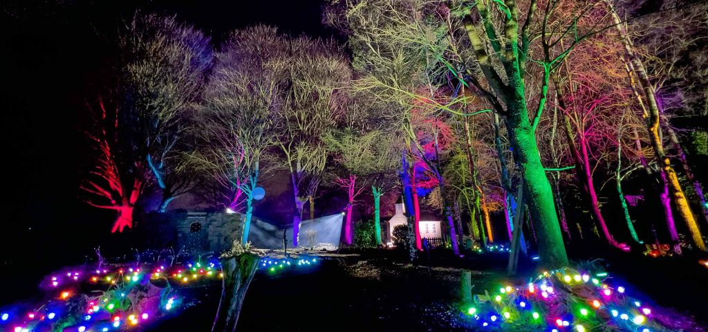 Winter Woodland Lights 2025 - Hawk Conservancy Trust